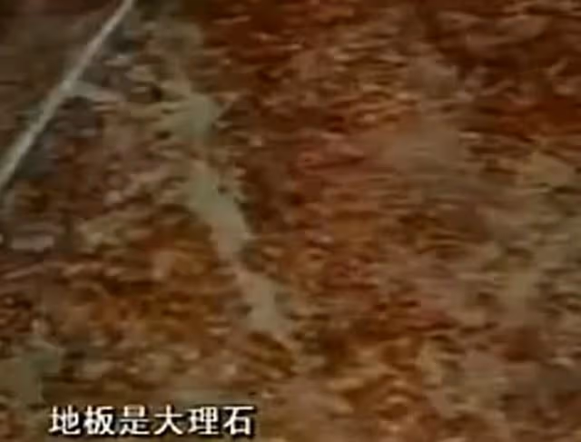 5歲外甥女白血病去世,舅舅拍照留念,意外發現是因繼母而得病
