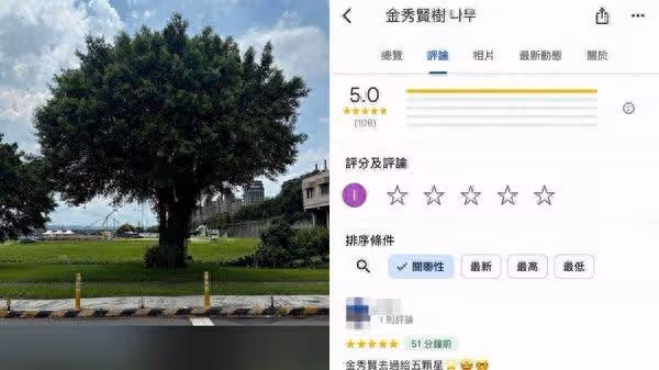 「金秀賢樹」找到了！台北打卡新聖地　百人狂刷5星好評：太強