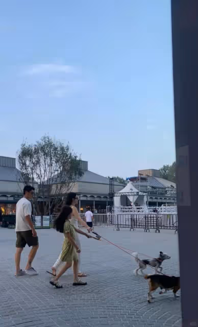 霍思燕8歲女兒終於露臉了！長相比哥哥還英氣，戴近視眼鏡像爸爸