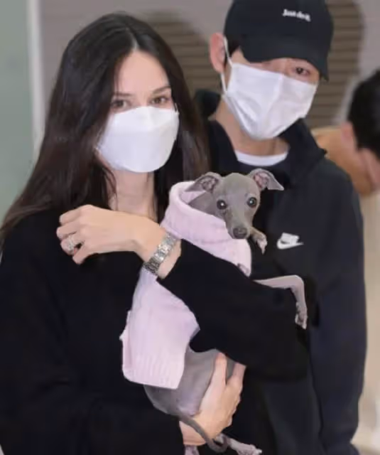 宋仲基老婆懷二胎,女方為胎教做準備,被偶遇時小肚微凸孕樣明顯