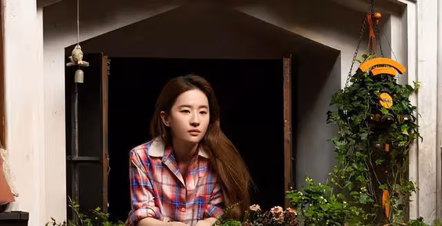 何西送一束鋼鐵玫瑰,方協文才知,億萬身家的他為何輸給毛頭小伙