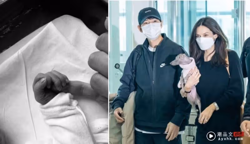 恭喜!宋仲基升格二寶爸 證實老婆再懷孕!