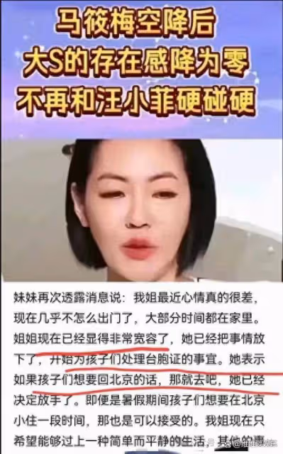 大S反轉決定:孩子留日本,張蘭讓步背後,誰的真實棋局在崩塌?