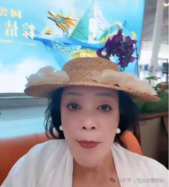 大S反轉決定:孩子留日本,張蘭讓步背後,誰的真實棋局在崩塌?