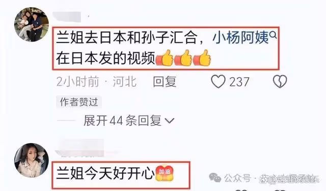大S反轉決定:孩子留日本,張蘭讓步背後,誰的真實棋局在崩塌?