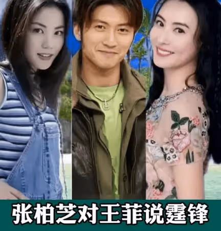 謝霆鋒此生最愛的兩個女人,皆願為他生個小棉襖!張柏芝最堅定