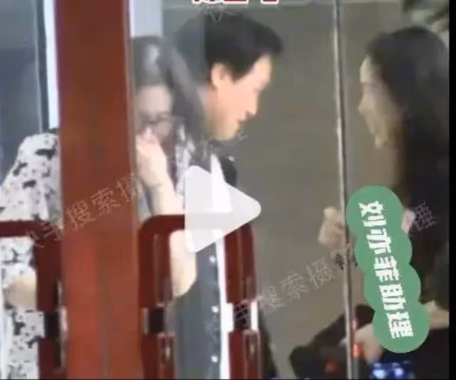 劉亦菲跟陳金飛聚會她嫵媚輕撫秀髮!乾爹跟楊采鈺早離婚