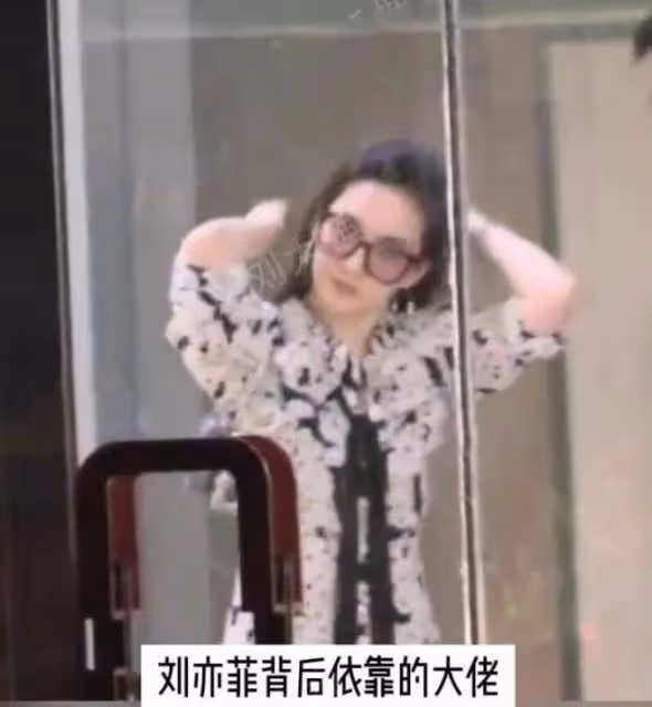 劉亦菲跟陳金飛聚會她嫵媚輕撫秀髮!乾爹跟楊采鈺早離婚