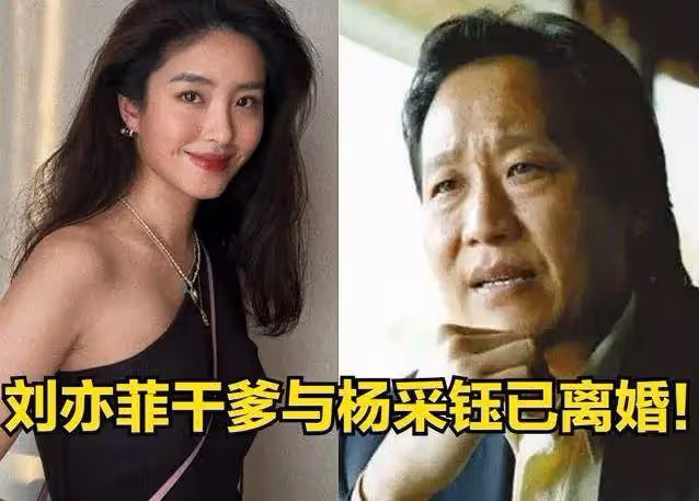 劉亦菲跟陳金飛聚會她嫵媚輕撫秀髮！乾爹跟楊采鈺早離婚