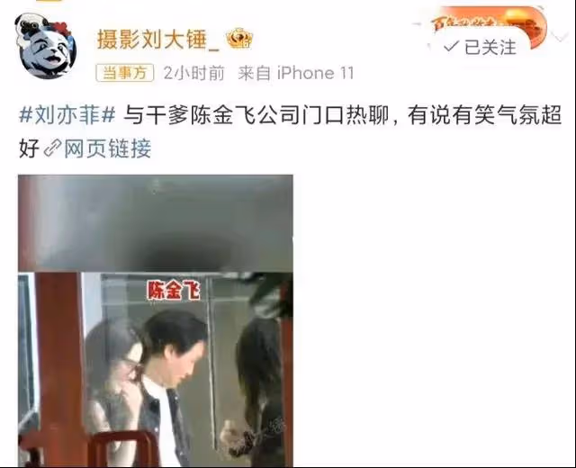 劉亦菲跟陳金飛聚會她嫵媚輕撫秀髮！乾爹跟楊采鈺早離婚