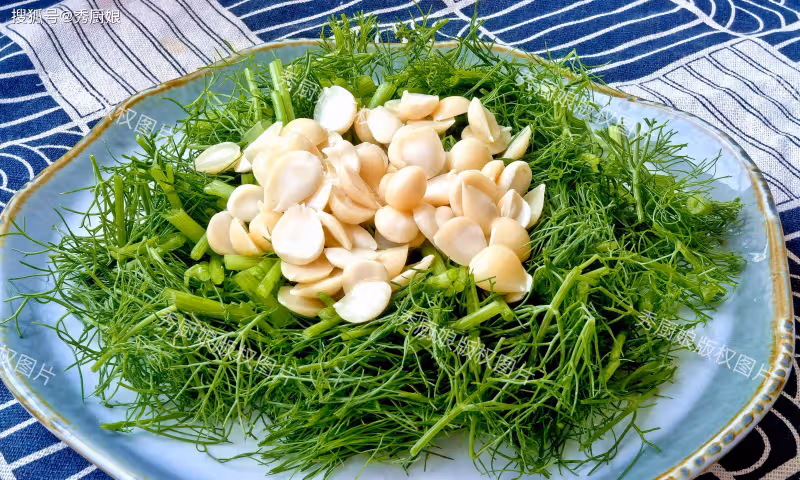 這菜,夏天使勁吃,一祛濕、二健脾、三抗菌、四通便,不懂吃真虧