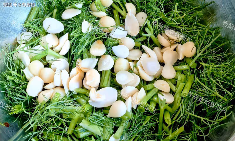 這菜,夏天使勁吃,一祛濕、二健脾、三抗菌、四通便,不懂吃真虧