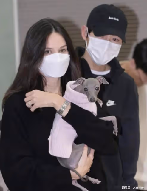 宋慧喬不願生娃被離婚?宋仲基當爹上癮,一胎不滿周歲二胎又來了