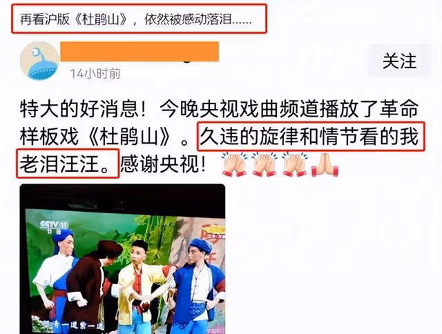新版《杜鵑山》出爐史依弘比楊春霞差在哪?田大江因何火出了圈?
