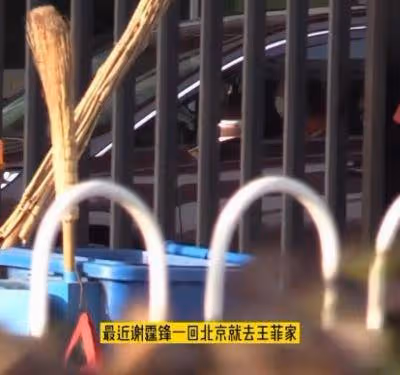 鋒菲戀再添實錘!謝霆鋒不經意動作泄露深情,糖分太高了!