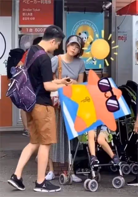 消失兩年後的董卿復出,臉浮腫大變樣,但打扮端莊斯文很有書卷氣