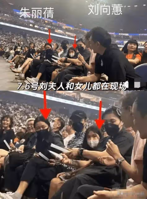 劉德華演唱會險釀事故,女兒劉向蕙是否在現場引髮網友爭論