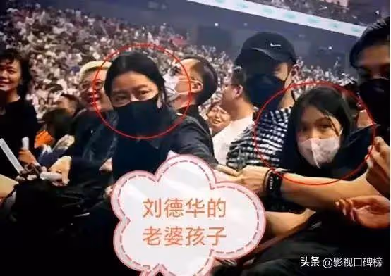劉德華演唱會險釀事故,女兒劉向蕙是否在現場引髮網友爭論