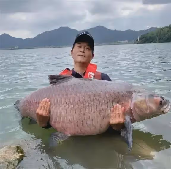 明星網紅為湖南水災捐款!鄧剛100萬,王芳30萬,王為念5萬
