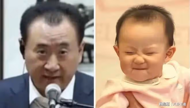 黃一鳴算盤落空!王思聰首次回應私生女事件:豪門最不缺的就是孩