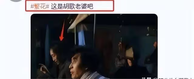 胡歌老婆不被網友看好,任嘉倫老婆卻一片誇讚,原因在哪裡