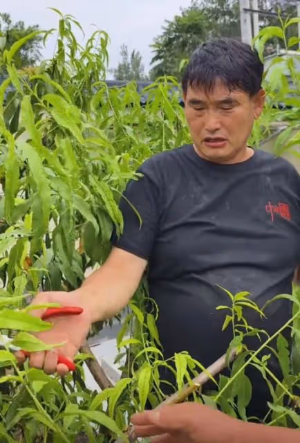 兒媳婦回城裡,大衣哥大衣嫂輕鬆了,夫妻做飯也變得簡單很多
