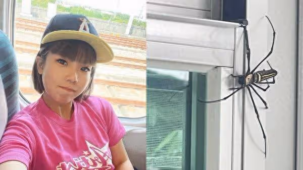 黃鐙輝妻遇「巨型不明生物」入侵嚇到尖叫! 照片曝光網瘋猜身份