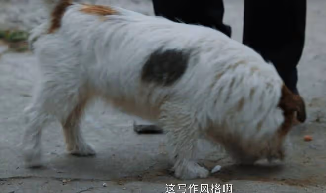 懸疑劇《錯位》才播3集,拿下熱度榜第一,馬伊琍這回淘到寶了
