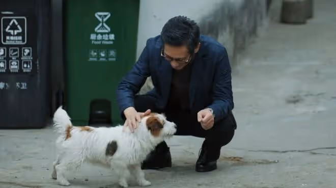 懸疑劇《錯位》才播3集,拿下熱度榜第一,馬伊琍這回淘到寶了