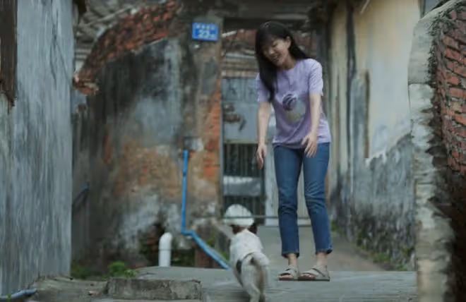 懸疑劇《錯位》才播3集,拿下熱度榜第一,馬伊琍這回淘到寶了