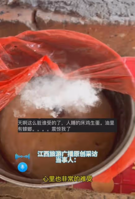 女子去婆家看娃被環境震驚，雞在床上下蛋還沒水，看油里不淡定了