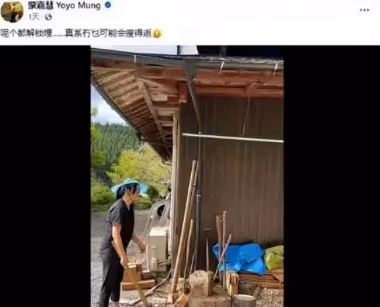 50歲蒙嘉慧生圖,發福牙齒顯老,定居日本農村,鄭伊健在國內賺錢