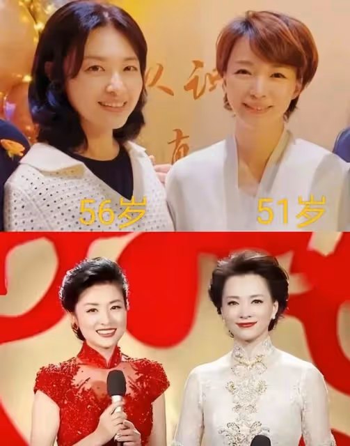 主持人周濤晉升保利董事長,與董卿合體引回憶殺,再攀事業高峰!