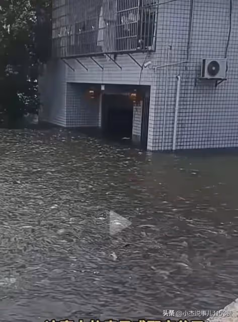團洲垸水退後大魚成群,網友:原來在下一盤大棋