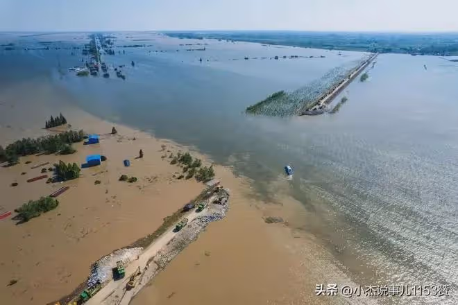 團洲垸水退後大魚成群,網友:原來在下一盤大棋