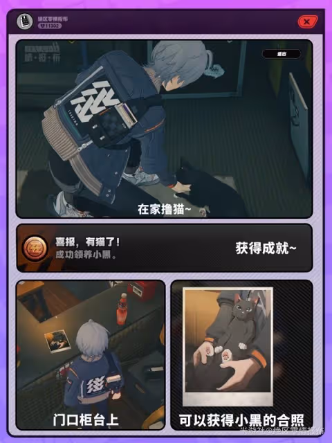 《絕區零》領養小貓攻略