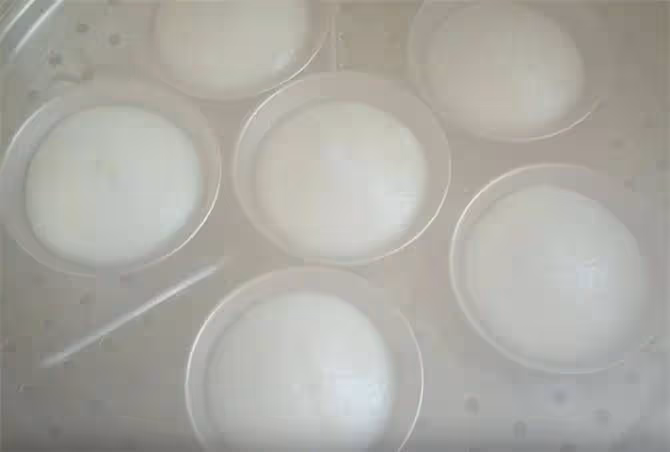 一碗大米,一袋牛奶,不用添加劑,做的大米糕軟糯筋道,米香濃郁