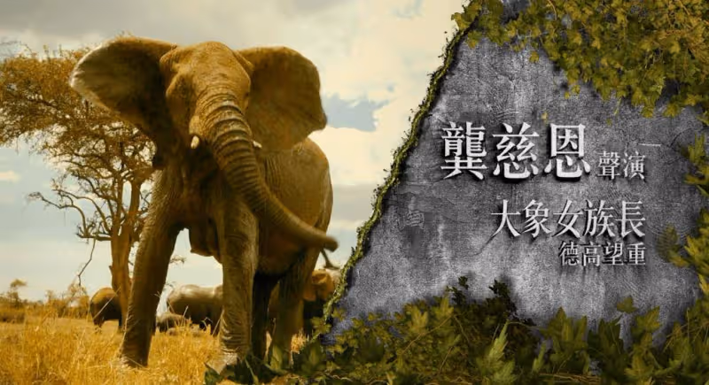 曾志偉兒媳又一新作下周首播！被問公公沒催生！這樣回應