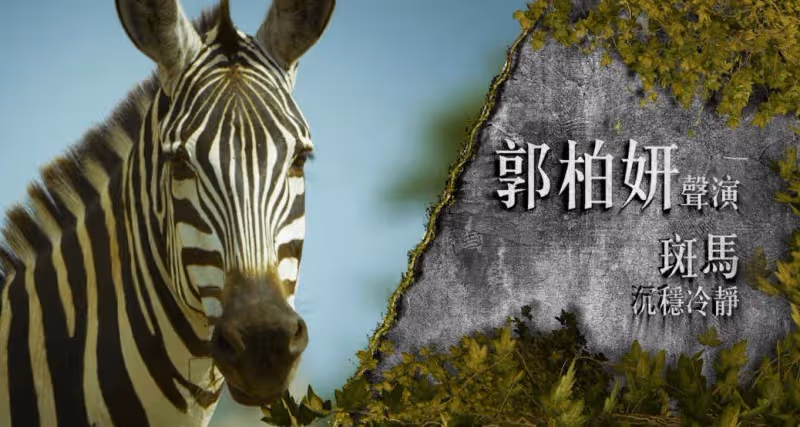 曾志偉兒媳又一新作下周首播！被問公公沒催生！這樣回應