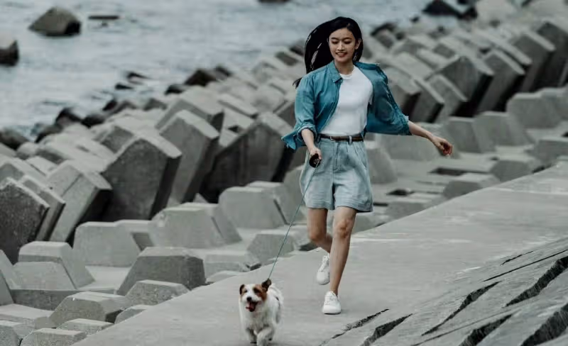 反轉再反轉!3集就繞得我腦瓜疼