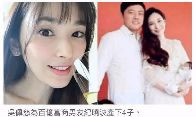 又生第5胎?吳佩慈家庭添新成員,曬寵物貓虛驚一場