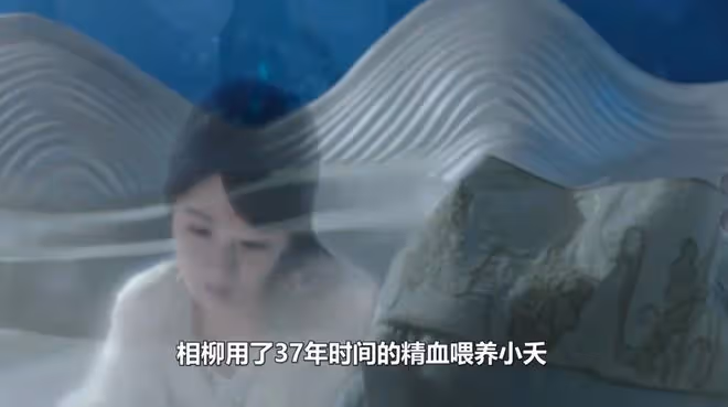 長相思2:刪減劇情曝光!夭和柳已有了夫妻之實,相柳:不要恨我