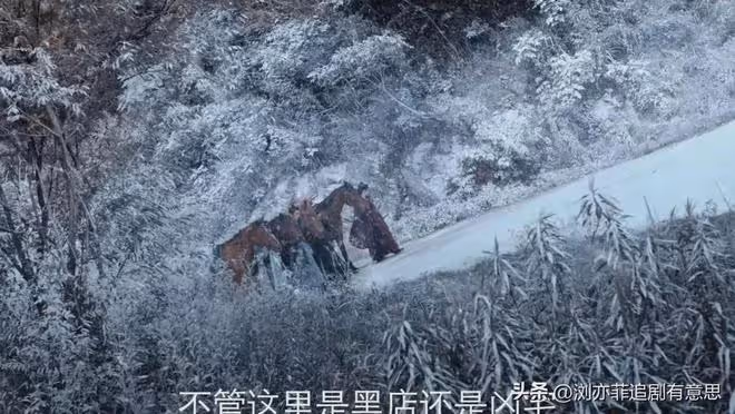 《唐朝詭實錄2》看完預告,二楊演對手戲好看