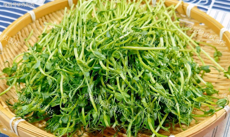 它被譽為「護眼菜」，越吃眼睛越亮，隔天吃一次，養肝護眼潤脾胃