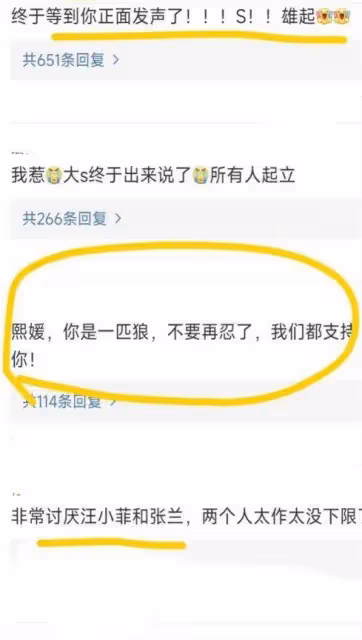 汪小菲曝大S曾家暴,還影射其向孩子灌輸錯誤政治觀,引發熱議!