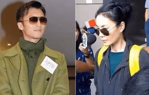 王菲與謝賢矛盾升級,自曝為謝家奉獻青春,卻被謝賢無情拉黑