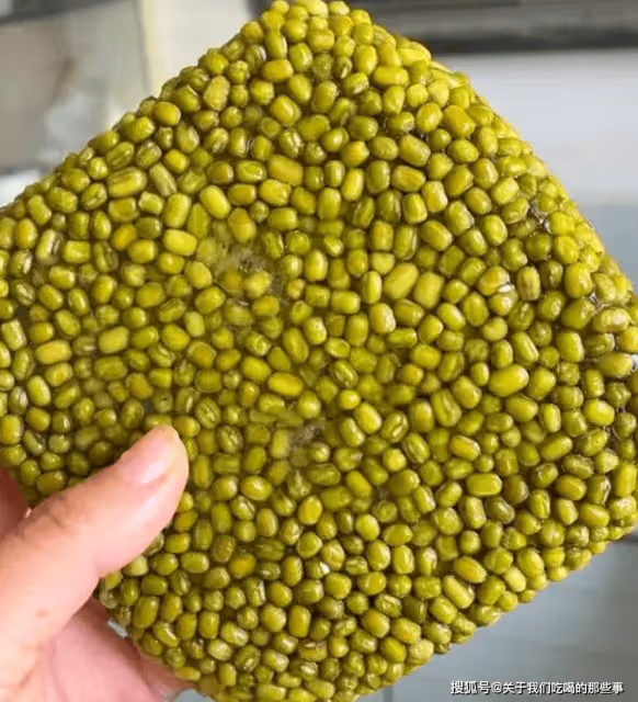 煮綠豆湯，干豆子不要直接煮，教您一招，10分鐘開花，軟爛又起沙