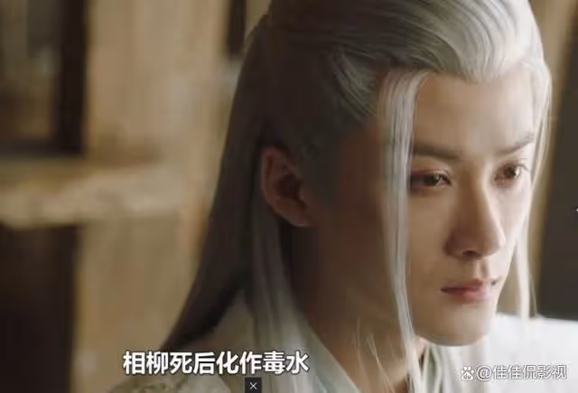 長相思第二季:看到相柳轉世成小夭至親!才懂它才是意難平