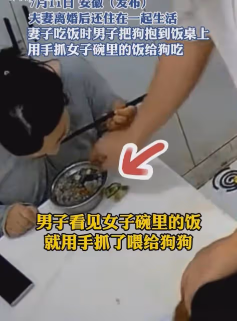 女子離婚沒娘家跟前夫同住，吃飯被前夫抓食物喂狗，推開碗更窒息