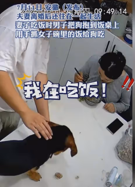 女子離婚沒娘家跟前夫同住，吃飯被前夫抓食物喂狗，推開碗更窒息